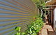 Wombats B&B - Apartments - thumb 1