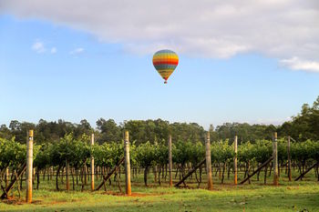 Carriages Boutique Hotel - Lismore Accommodation 26