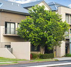 Quest Maitland Serviced Apartments - Lismore Accommodation