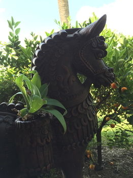 Lilies Luxury Retreats - Lismore Accommodation 22