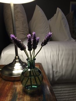 Lilies Luxury Retreats - Lismore Accommodation 51