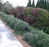 Silvermere - Lismore Accommodation