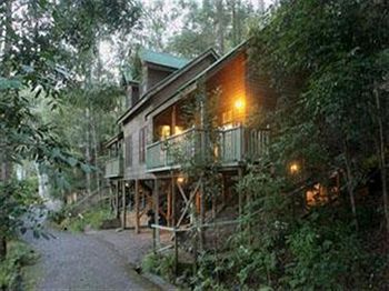 Barrington Wilderness Cedar Lodge Accommodation - Lismore Accommodation 3