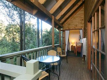 Barrington Wilderness Cedar Lodge Accommodation - Lismore Accommodation 5