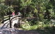 Glass House Mountains Ecolodge - thumb 9