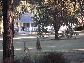 Cam-Way Estate - Lismore Accommodation 3