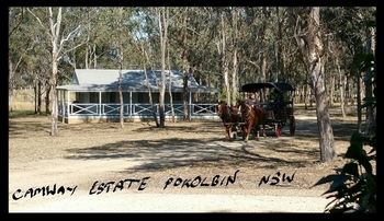 Cam-Way Estate - Lismore Accommodation 31