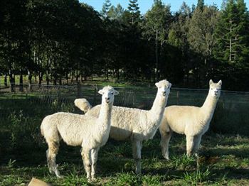 Beerwah QLD Lismore Accommodation