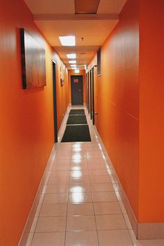 Jackaroo Hostel Sydney - Lismore Accommodation 13