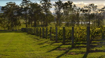 H Boutique Hotel - Lismore Accommodation 34