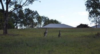 H Boutique Hotel - Lismore Accommodation 40