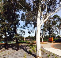 Box Hill Studios at Canterbury Gardens - Lismore Accommodation