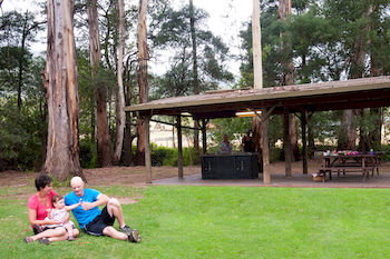 BIG4 Yarra Valley Holiday Park - Lismore Accommodation 0