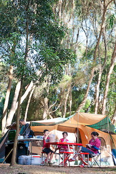 BIG4 Yarra Valley Holiday Park - Lismore Accommodation 8