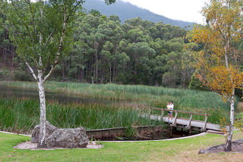 BIG4 Yarra Valley Holiday Park - Lismore Accommodation 12
