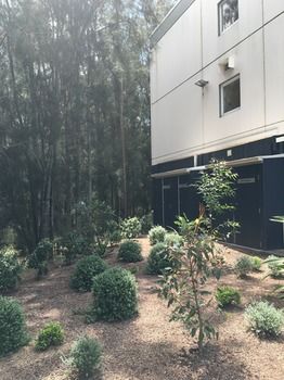 Ibis Budget Gosford - Lismore Accommodation 14