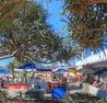 Alex Beach Cabins - Lismore Accommodation