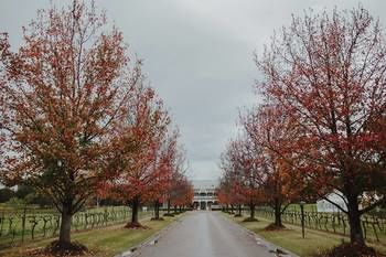 The Convent Hunter Valley - Lismore Accommodation 49