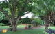 Tanglewood Gardens - thumb 1