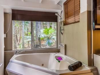 Tanglewood Gardens - Lismore Accommodation 17