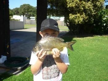 Edgewater Motel Ulladulla - Lismore Accommodation 10