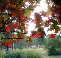 Elfin Hill Country Accommodation - Lismore Accommodation