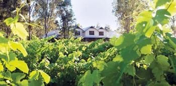 Spicers Vineyards Estate - Lismore Accommodation 3