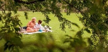Spicers Vineyards Estate - Lismore Accommodation 4