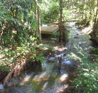 Treetops Accommodation Montville - Lismore Accommodation