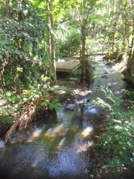 Treetops Accommodation Montville - Lismore Accommodation 0