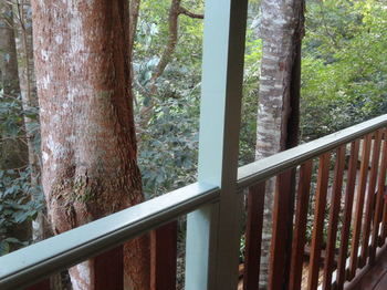 Treetops Accommodation Montville - Lismore Accommodation 9