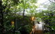 Treetops Accommodation Montville - thumb 12