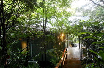 Treetops Accommodation Montville - Lismore Accommodation 12