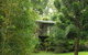 Treetops Accommodation Montville - thumb 13