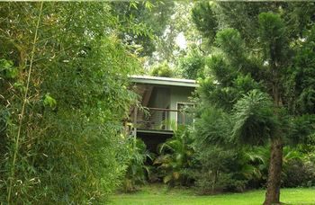 Treetops Accommodation Montville - Lismore Accommodation 13