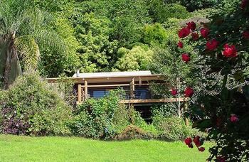Treetops Accommodation Montville - Lismore Accommodation 14
