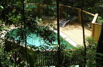 Treetops Accommodation Montville - Lismore Accommodation 16