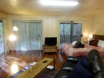 Treetops Accommodation Montville - Lismore Accommodation 19