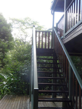Treetops Accommodation Montville - Lismore Accommodation 21