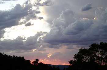 Treetops Accommodation Montville - Lismore Accommodation 26