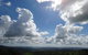 Treetops Accommodation Montville - thumb 28