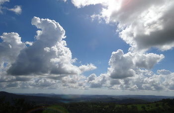 Treetops Accommodation Montville - Lismore Accommodation 28