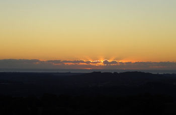 Treetops Accommodation Montville - Lismore Accommodation 29