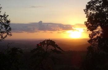 Treetops Accommodation Montville - Lismore Accommodation 30