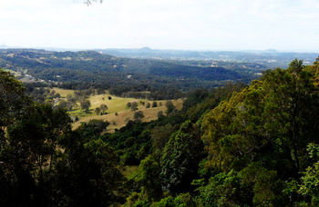 Treetops Accommodation Montville - Lismore Accommodation 31