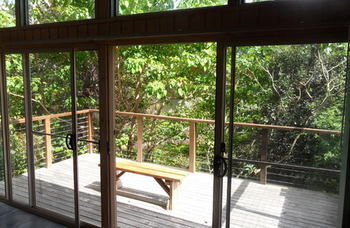 Treetops Accommodation Montville - Lismore Accommodation 51