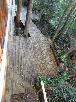 Treetops Accommodation Montville - Lismore Accommodation 53