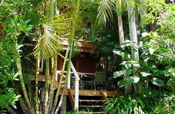 Treetops Accommodation Montville - Lismore Accommodation 54