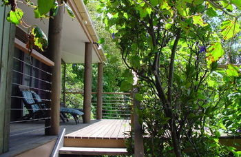 Treetops Accommodation Montville - Lismore Accommodation 59