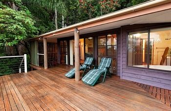 Treetops Accommodation Montville - Lismore Accommodation 61